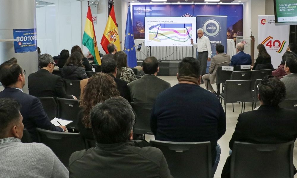 BOLIVIA BUSCA REVELAR DÓNDE SE PIERDE LA ENERGÍA: el primer Balance de Energía Útil estará listo en 14 meses